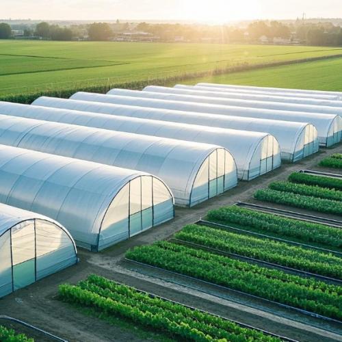 Agriculture
